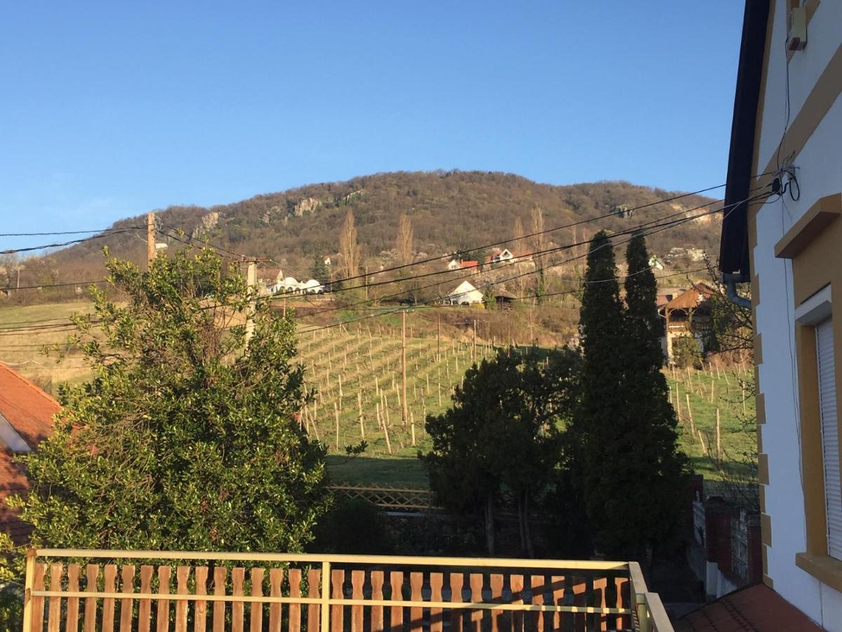Bacchus Apartman - Borbarlang, Badacsony Badacsonytomaj Zewnętrze zdjęcie
