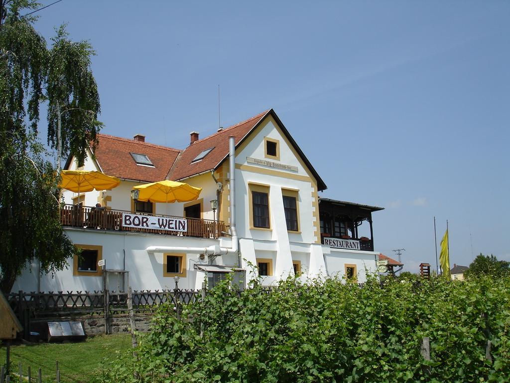 Bacchus Apartman - Borbarlang, Badacsony Badacsonytomaj Zewnętrze zdjęcie